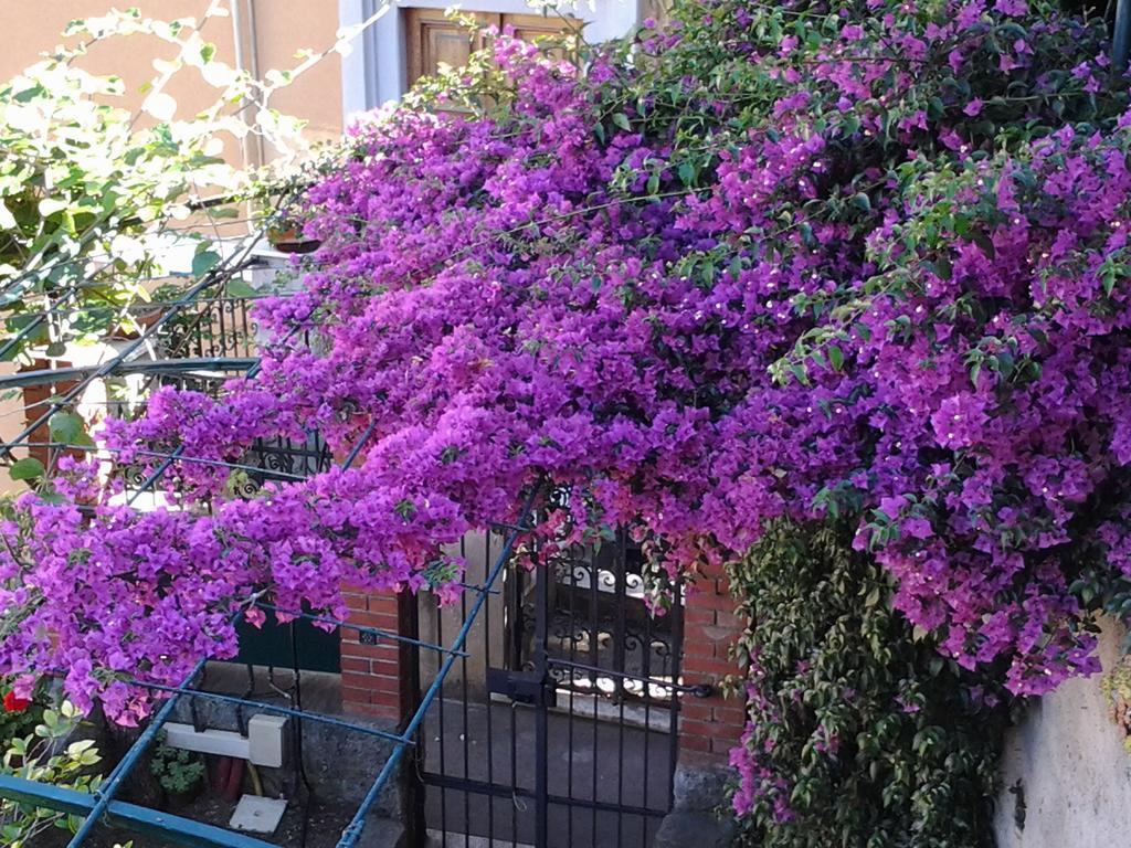Casa Bouganville La Spezia Zewnętrze zdjęcie