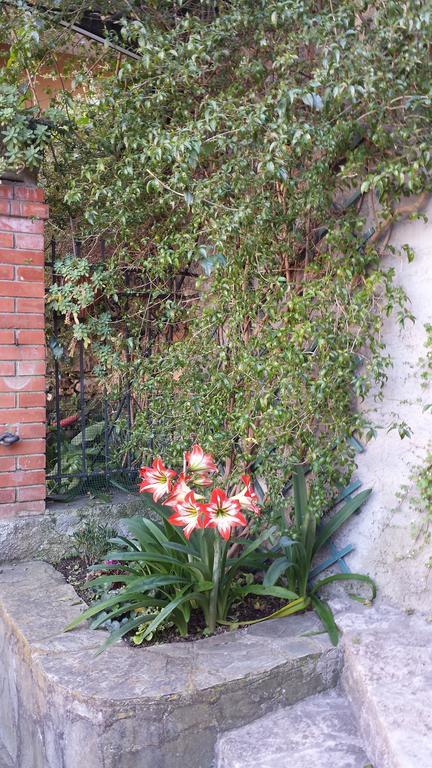 Casa Bouganville La Spezia Zewnętrze zdjęcie