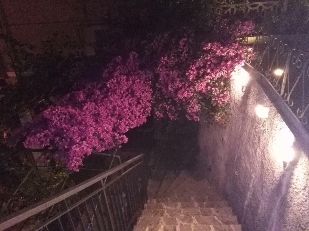 Casa Bouganville La Spezia Zewnętrze zdjęcie